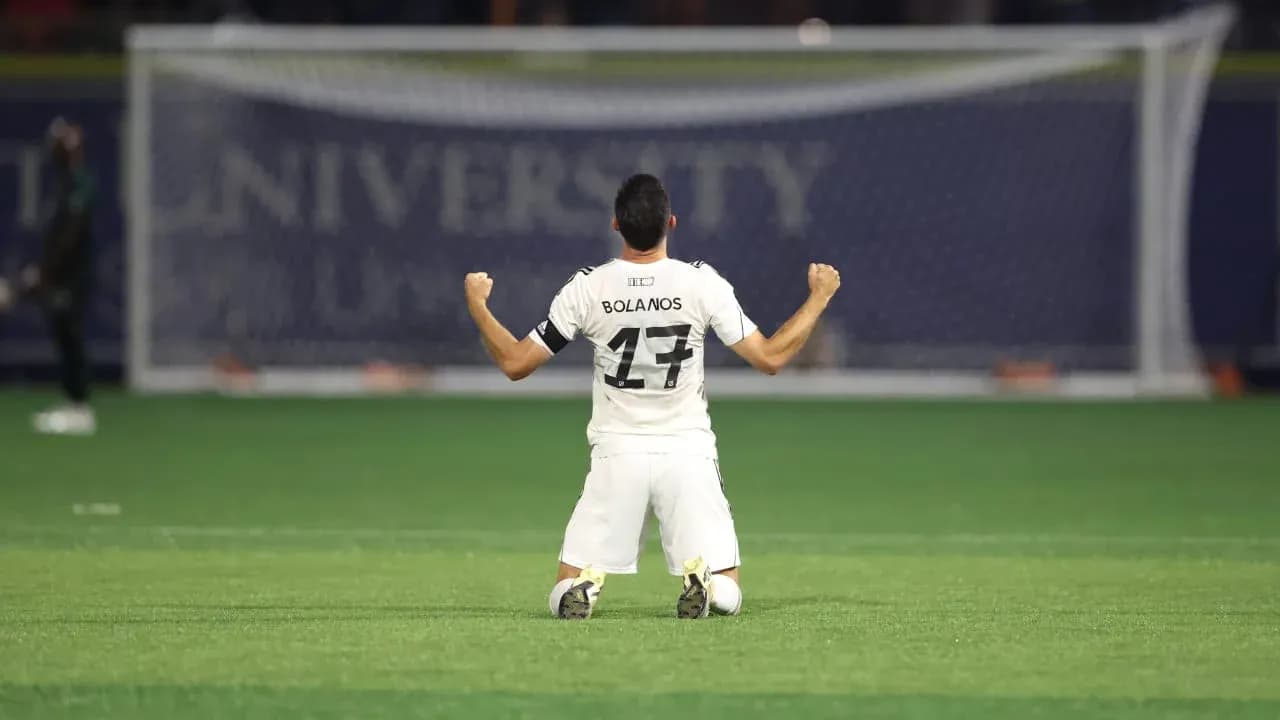 Player celebrating on the field during match