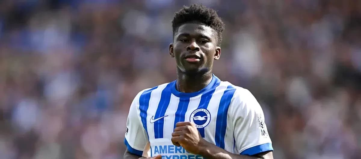 Player in Brighton and Hove Albion jersey on field
